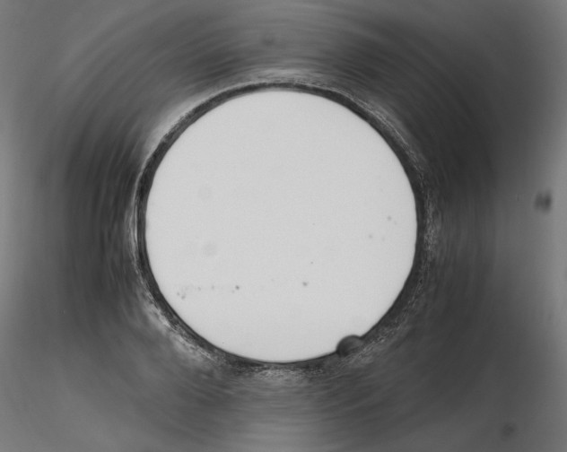 X0000116460888201001061036