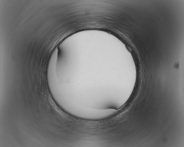 X0000116460889201001061036