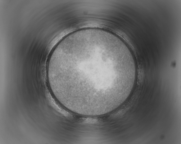 X0000116460890201001061036