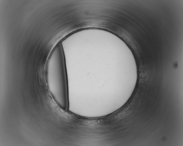 X0000116460892201001061036