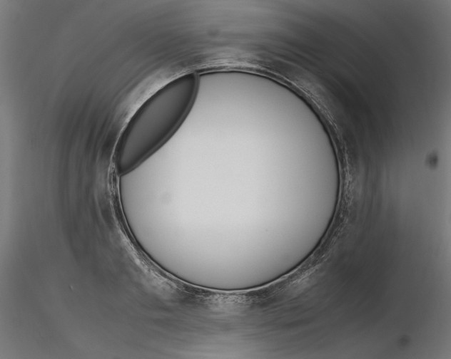 X0000116460893201001061036