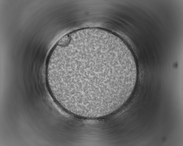 X0000116460894201001061036