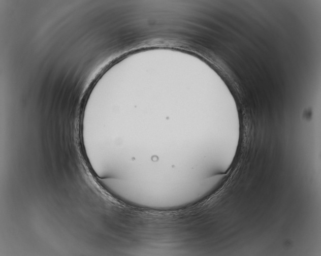 X0000116460896201001061036