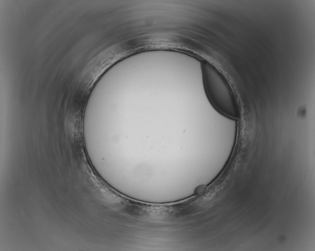 X0000116460897201001061036