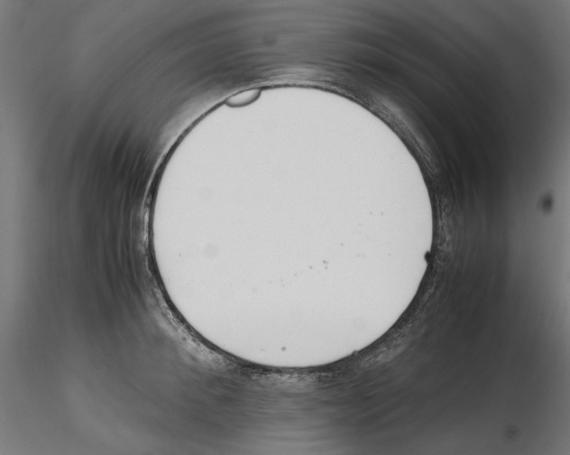X0000116460900201001061036