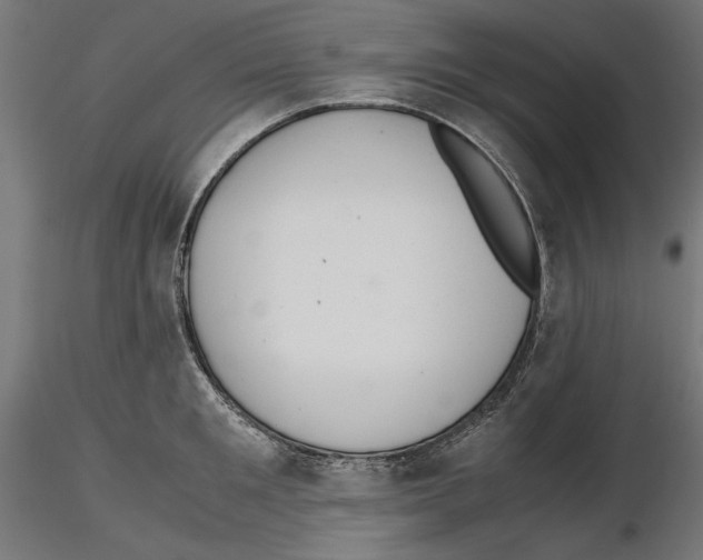 X0000116460901201001061036