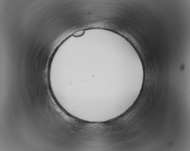 X0000116460902201001061036