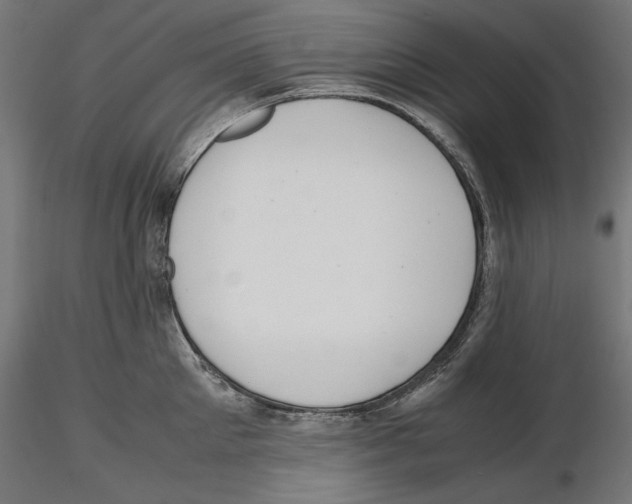 X0000116460905201001061036