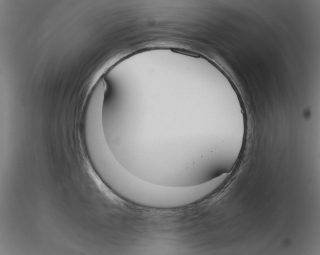 X0000116460909201001061035