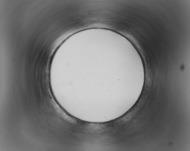 X0000116460910201001061035