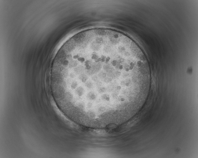 X0000116460911201001061035
