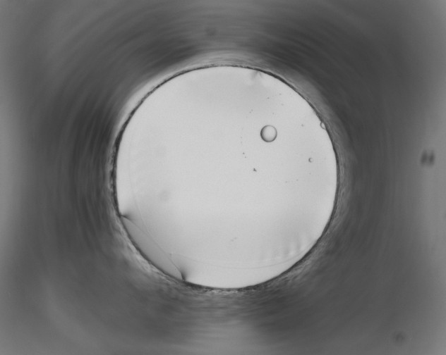 X0000116460912201001061035