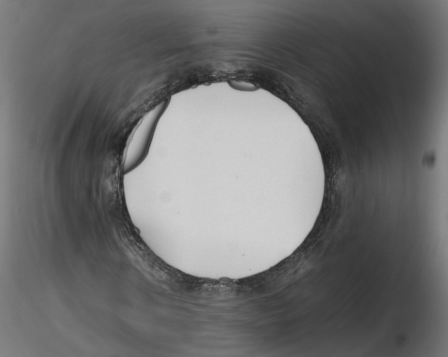 X0000116460914201001061035