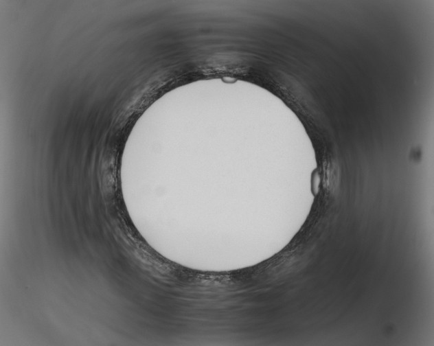X0000116460915201001061035