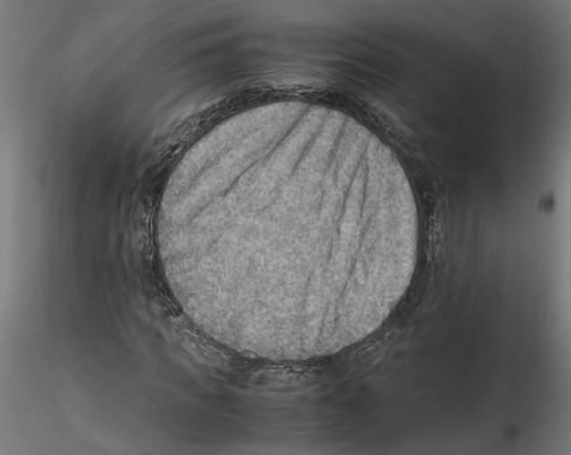 X0000116460917201001061035