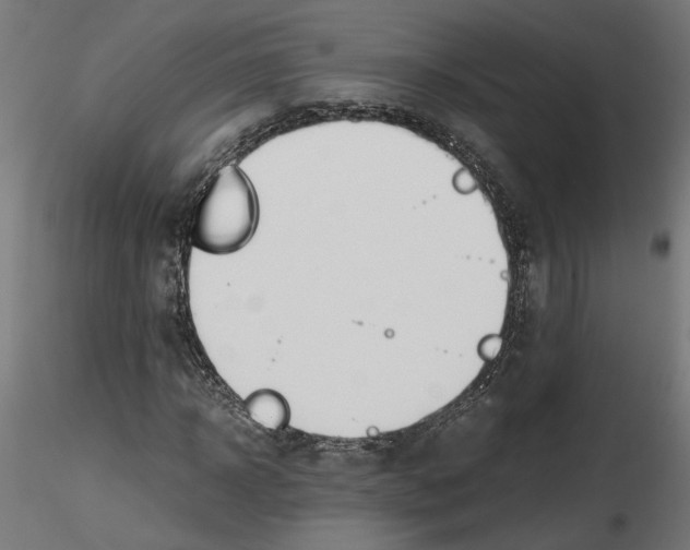 X0000116460918201001061035