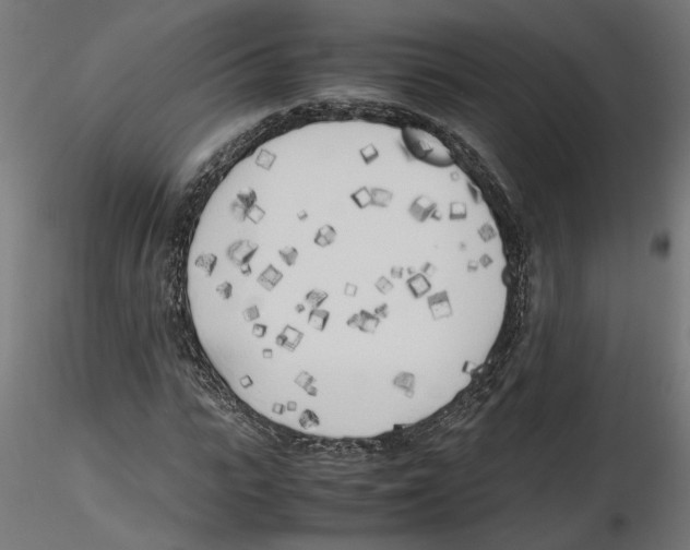 X0000116460919201001061035