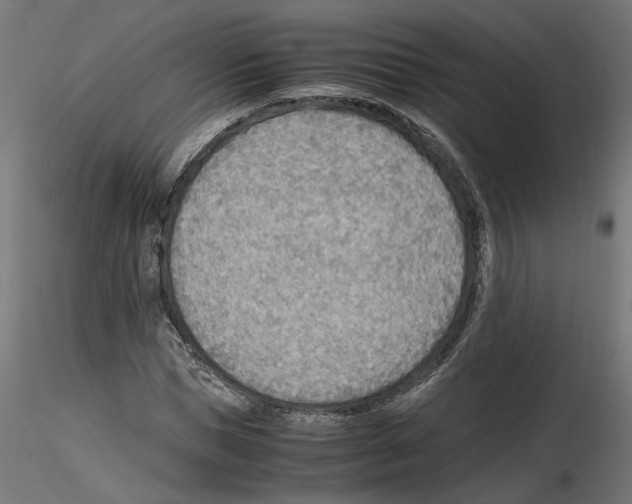 X0000116460921201001061035