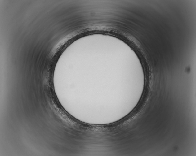 X0000116460922201001061035