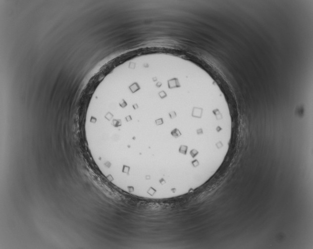 X0000116460923201001061035