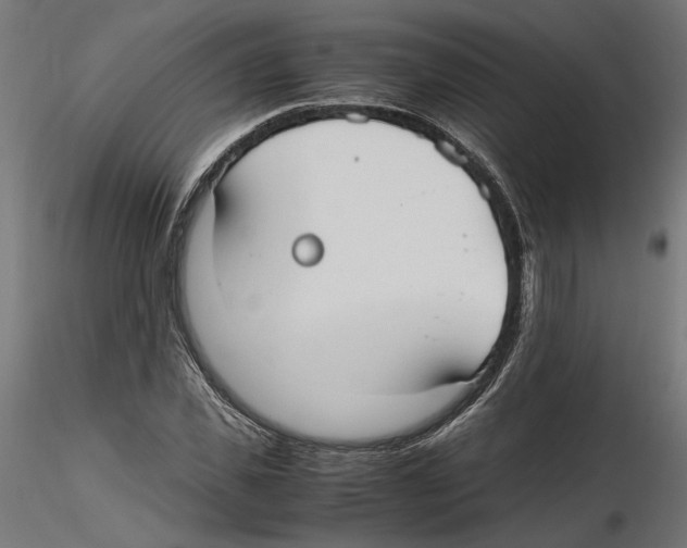 X0000116460925201001061035