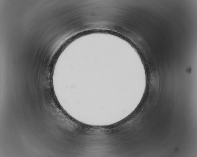 X0000116460926201001061035