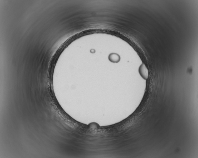 X0000116460927201001061035