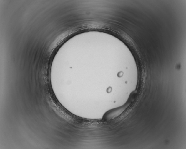 X0000116460930201001061035