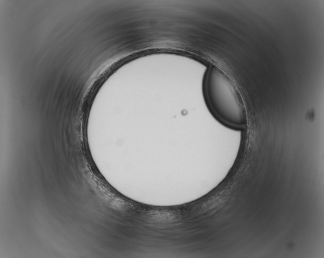 X0000116460931201001061035