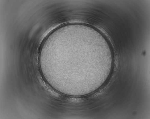 X0000116460933201001061035
