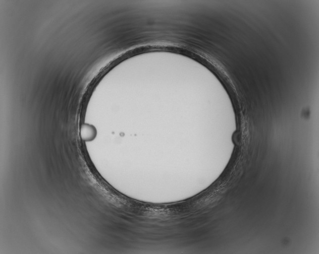 X0000116460935201001061035