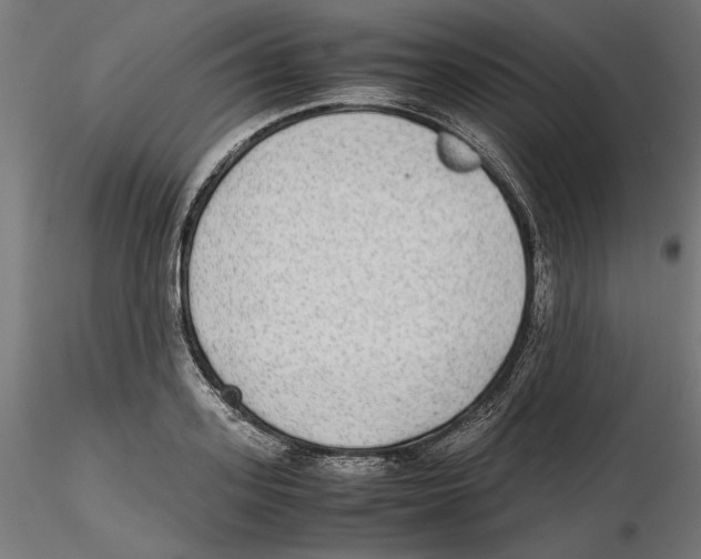 X0000116460939201001061035