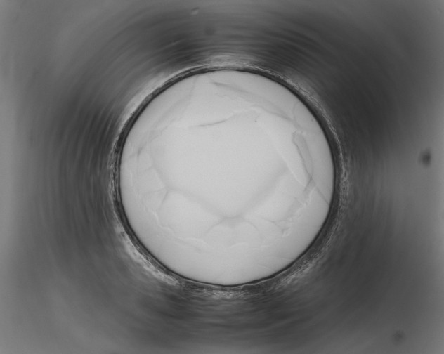 X0000116460941201001061035