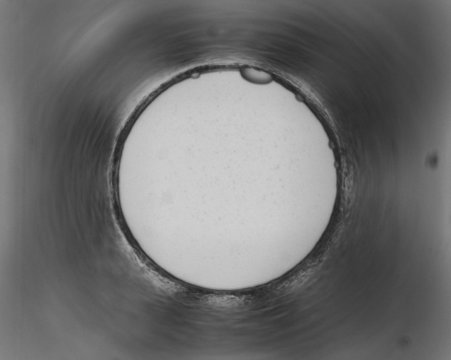 X0000116460943201001061035