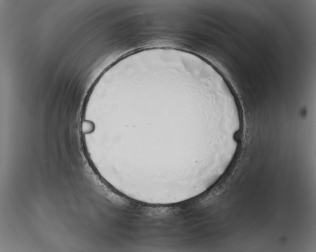X0000116460949201001061035