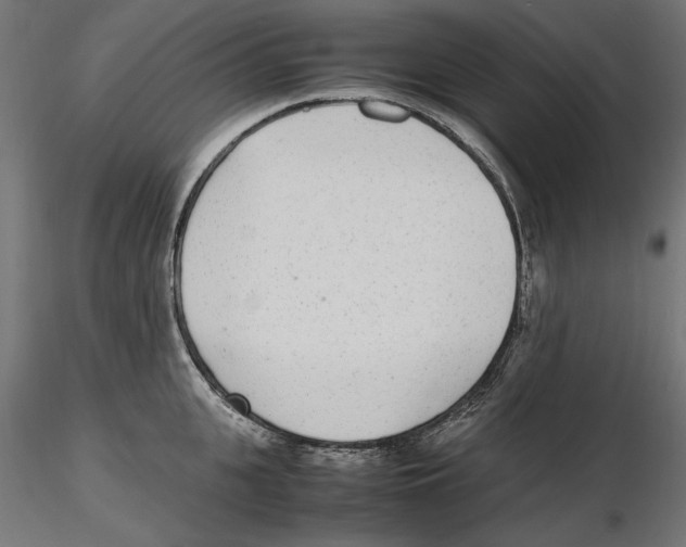 X0000116460951201001061035