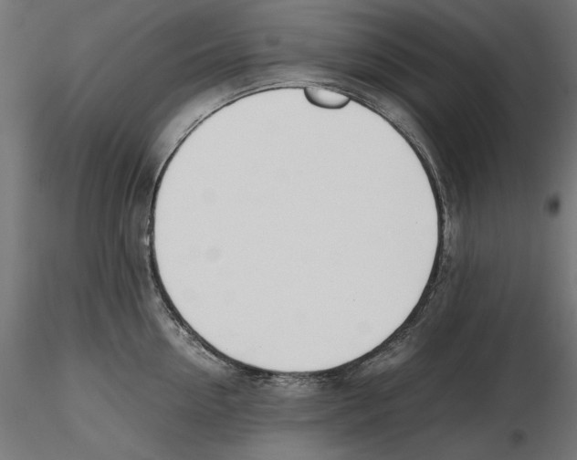 X0000116460954201001061035