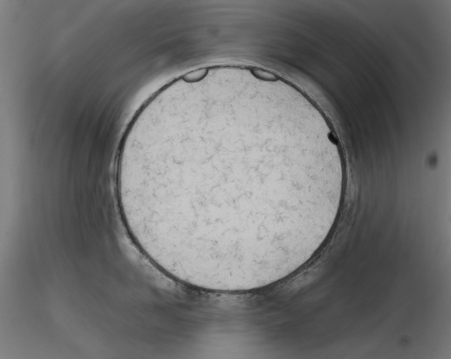 X0000116460958201001061035