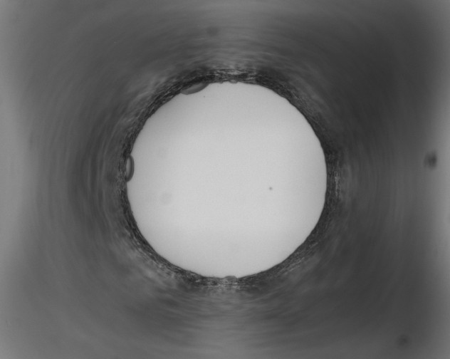 X0000116460961201001061035