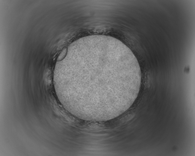 X0000116460962201001061035