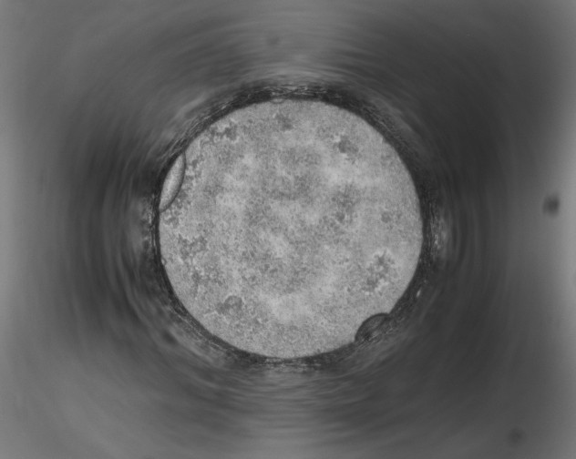 X0000116460964201001061035