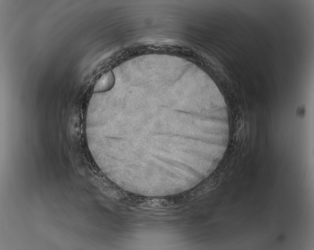 X0000116460966201001061035