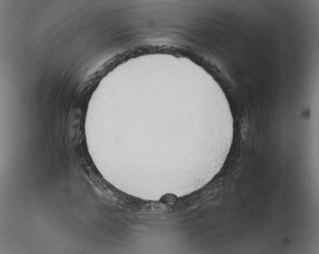 X0000116460968201001061035