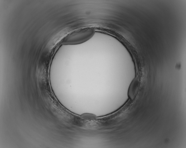 X0000116460969201001061035