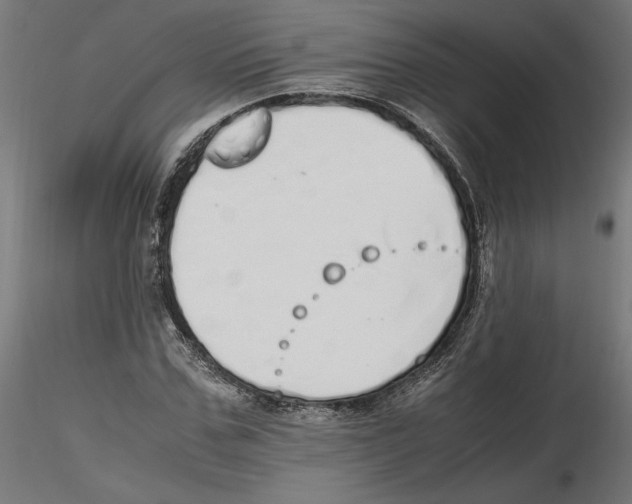 X0000116460971201001061035