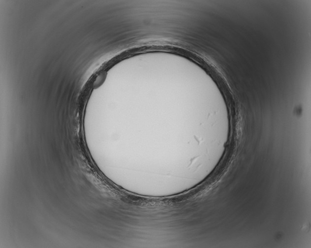 X0000116460973201001061035