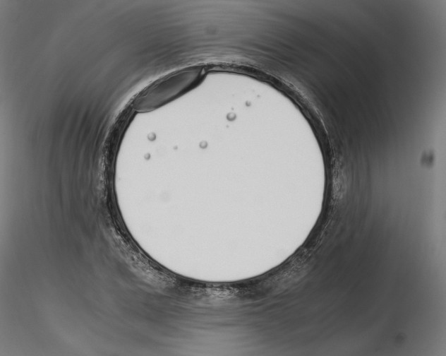 X0000116460975201001061035
