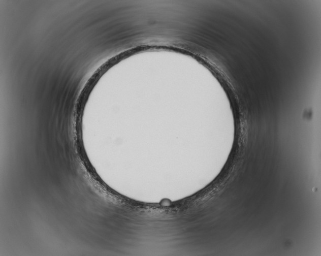 X0000116460976201001061035