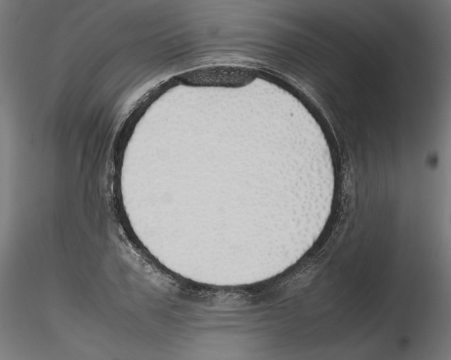 X0000116460979201001061035