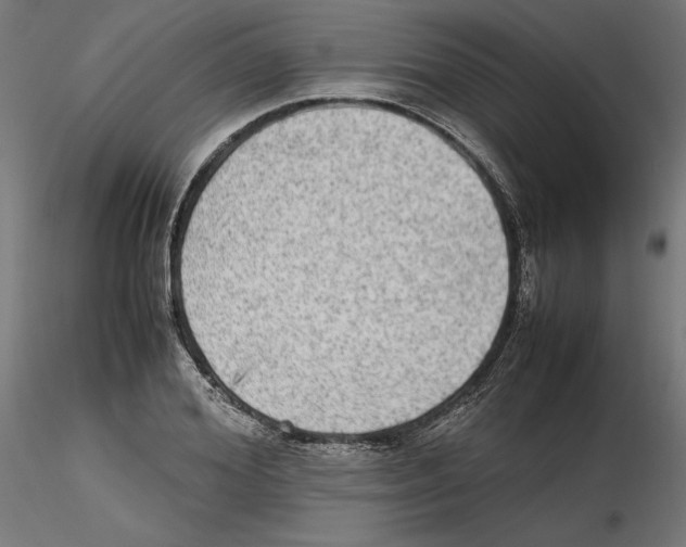 X0000116460980201001061034